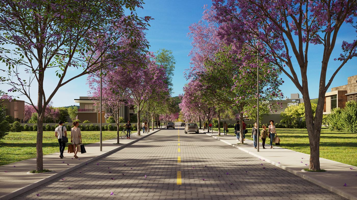 Terreno, 366 m² - Foto 6